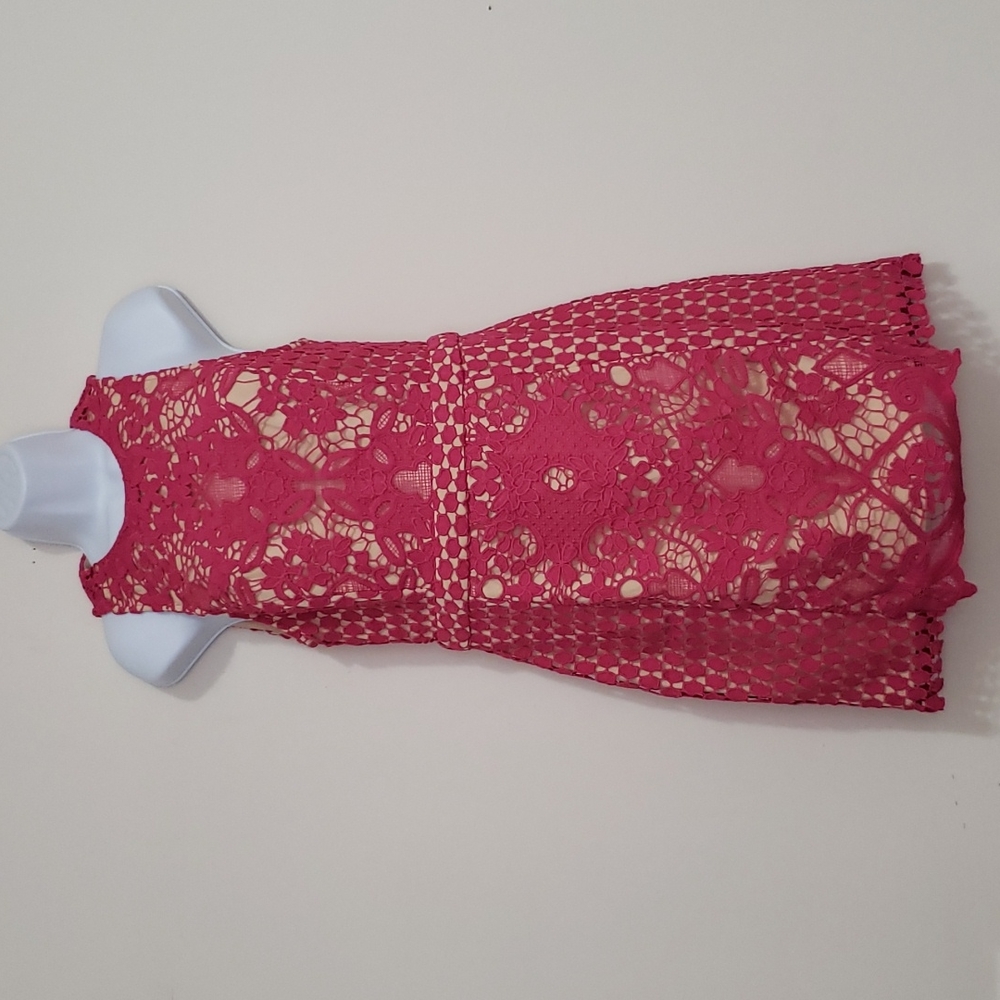 Endless Rose Lace Sheath Dress